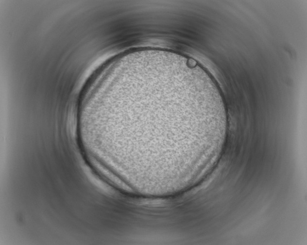 X0000113601131200910161859