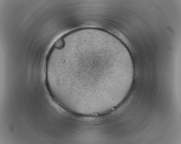 X0000113601132200910161859