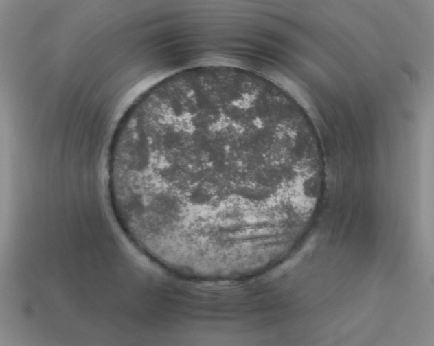 X0000113601133200910161859