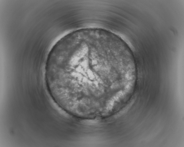 X0000113601134200910161859