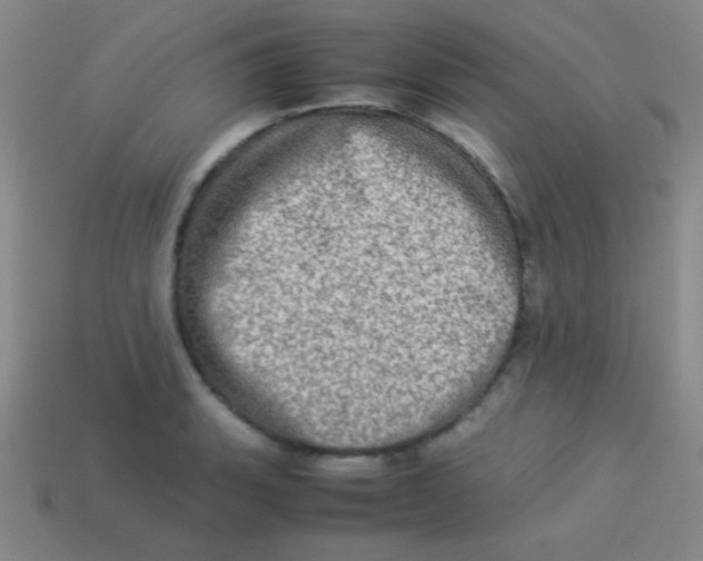 X0000113601135200910161859