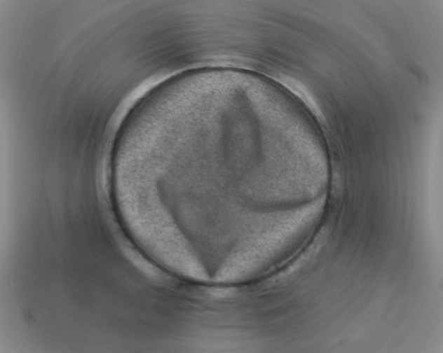 X0000113601136200910161859