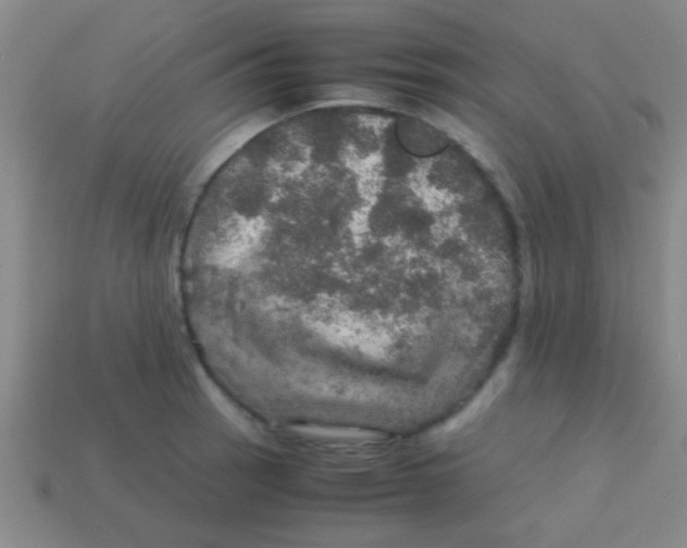 X0000113601137200910161859