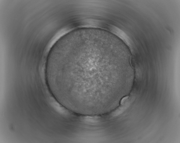 X0000113601138200910161859