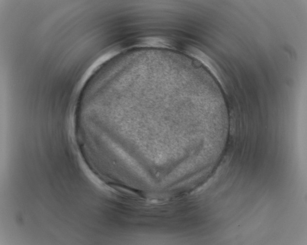 X0000113601139200910161859