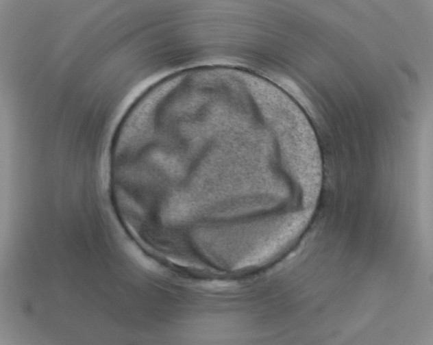 X0000113601140200910161859