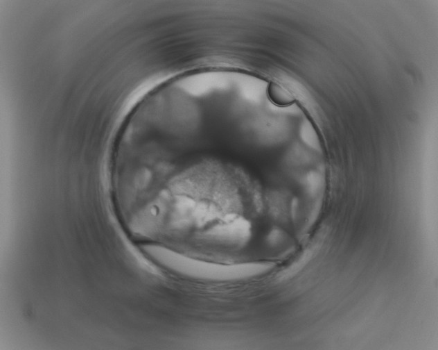 X0000113601141200910161859