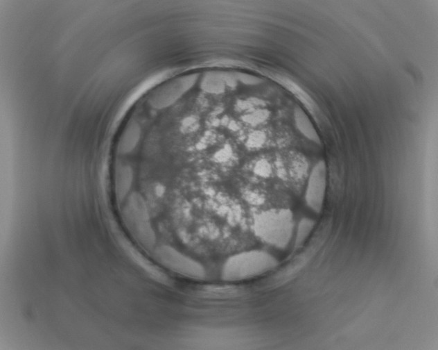 X0000113601142200910161859