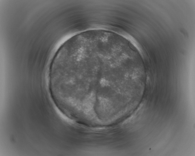 X0000113601143200910161859