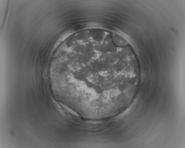 X0000113601145200910161859