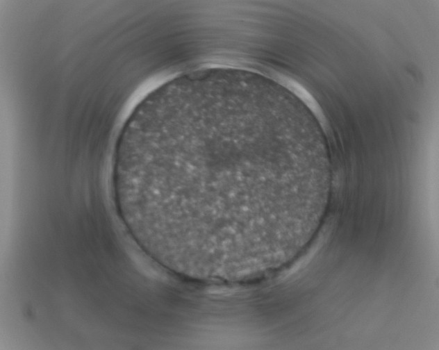 X0000113601146200910161859