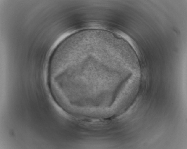 X0000113601147200910161859