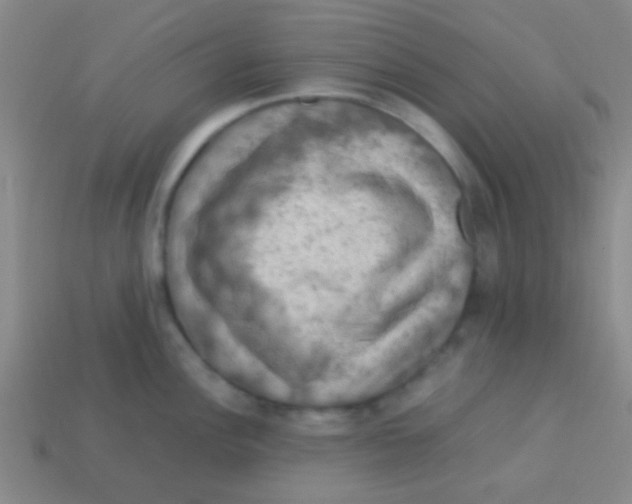 X0000113601148200910161859