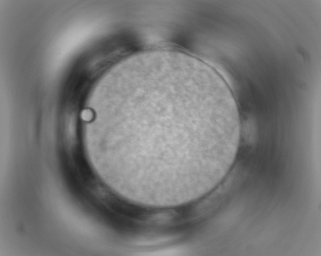 X0000113601150200910161859