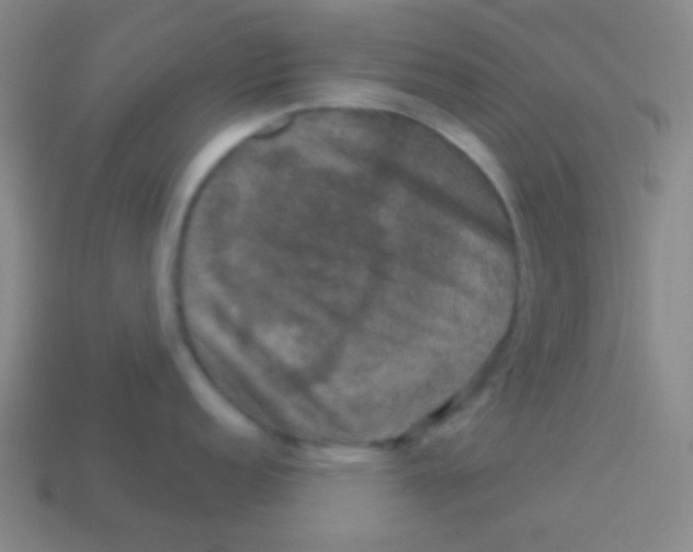 X0000113601152200910161859