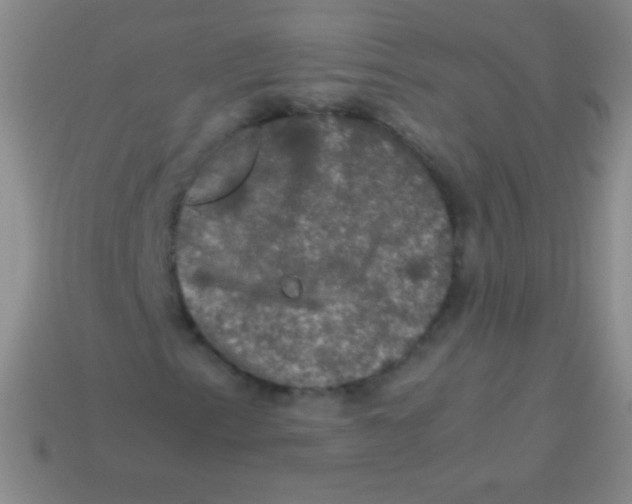 X0000113601153200910161859