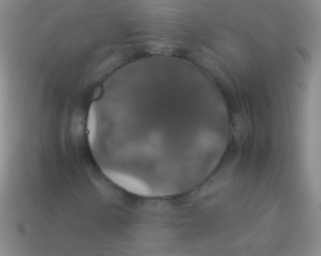 X0000113601154200910161859