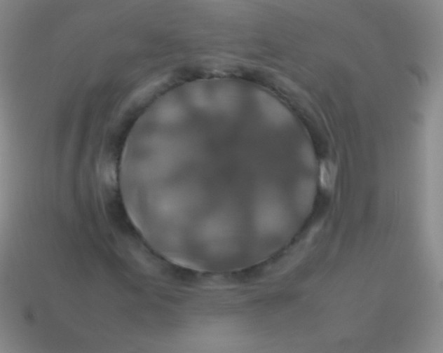 X0000113601155200910161859