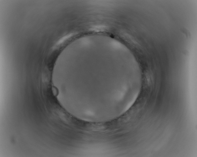 X0000113601158200910161859