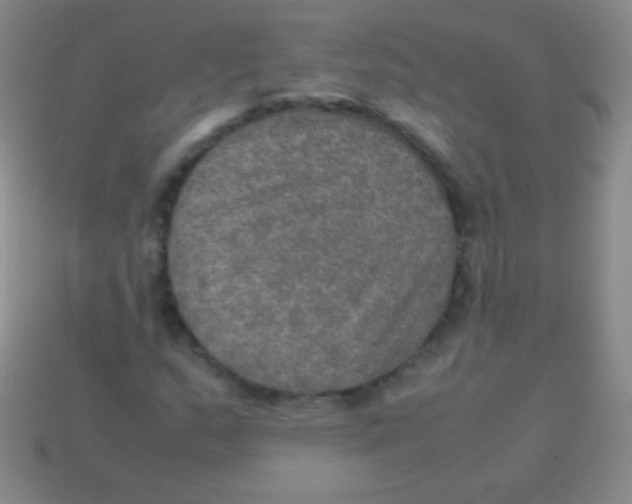 X0000113601159200910161859