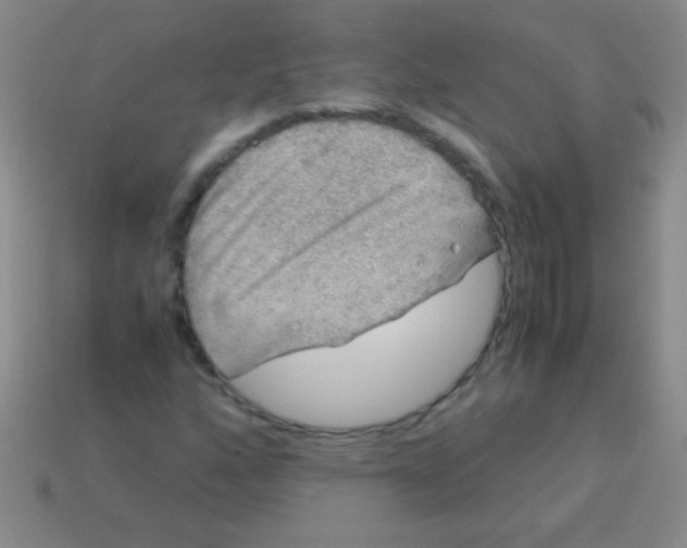 X0000113601160200910161859