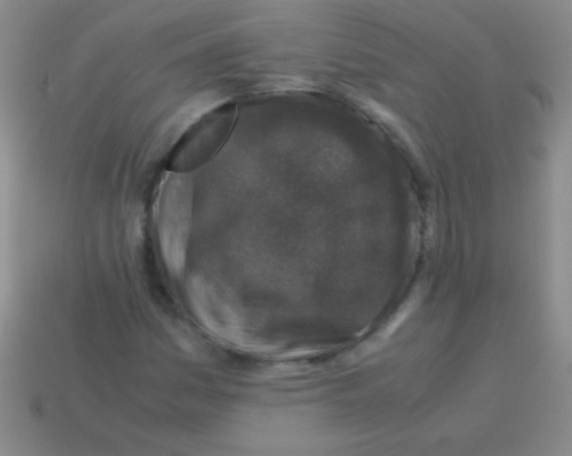 X0000113601161200910161859