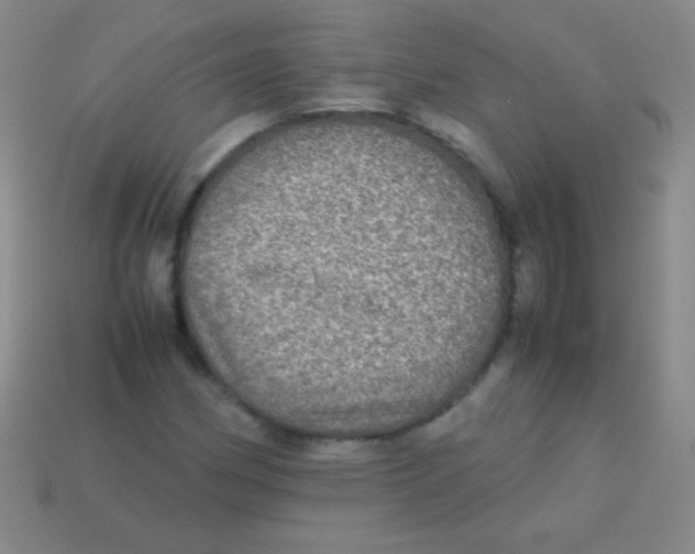 X0000113601162200910161859