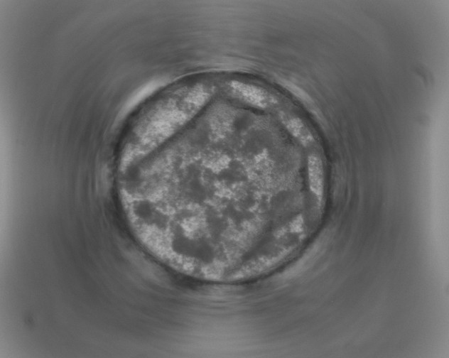 X0000113601163200910161859