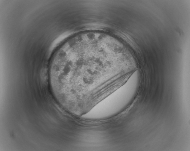 X0000113601164200910161859