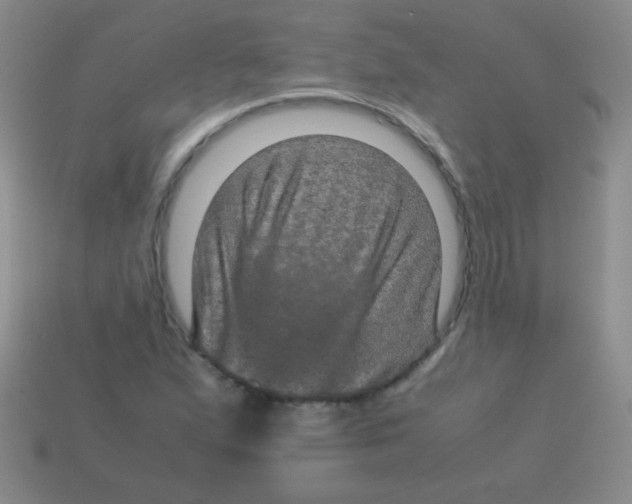 X0000113601167200910161858