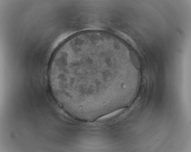 X0000113601168200910161858