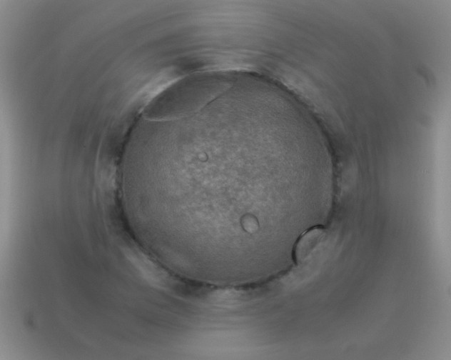 X0000113601169200910161858