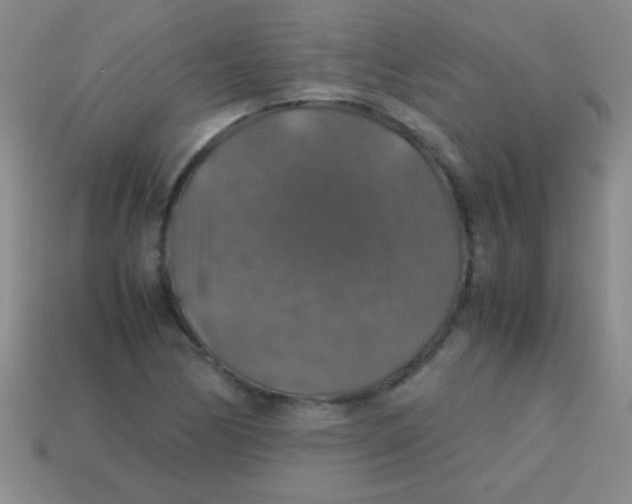 X0000113601170200910161858