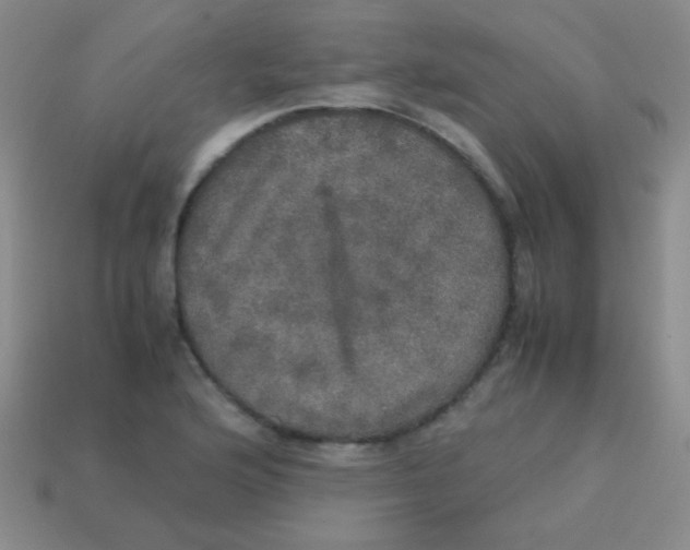 X0000113601176200910161858