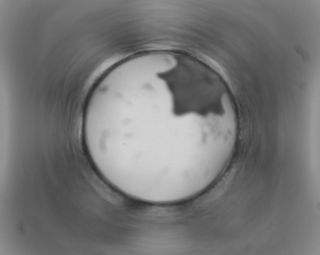 X0000113601179200910161858