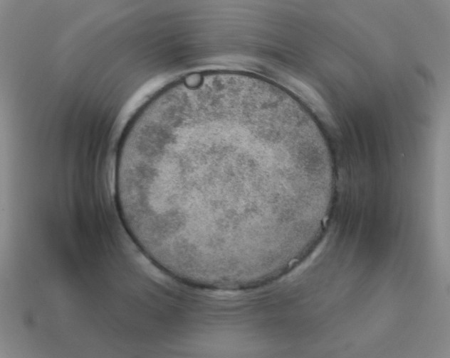 X0000113601180200910161858