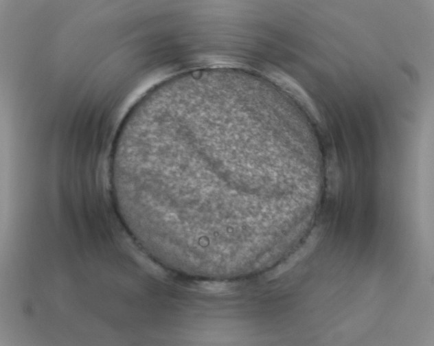 X0000113601182200910161858