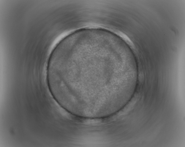 X0000113601183200910161858