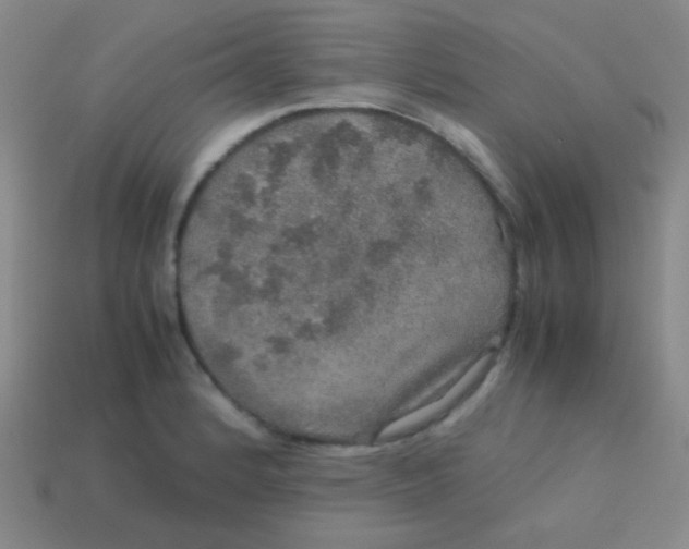 X0000113601184200910161858