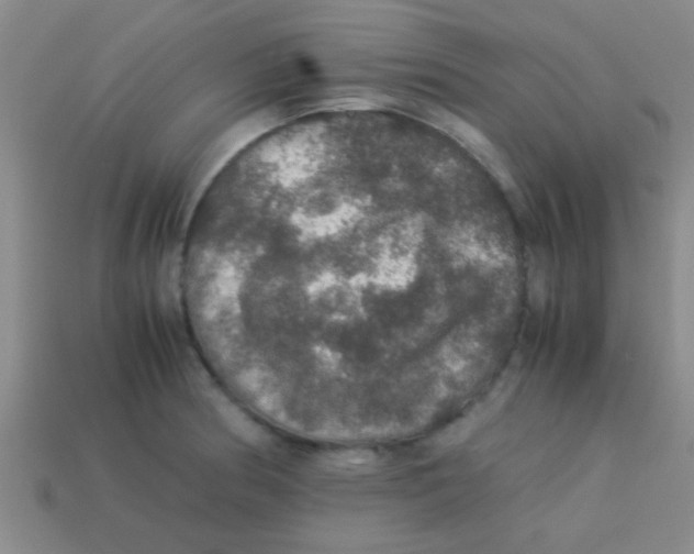 X0000113601186200910161858