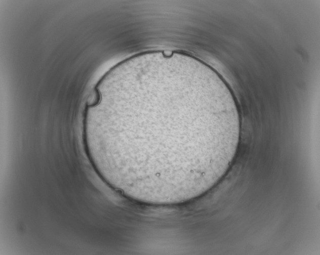 X0000113601187200910161858