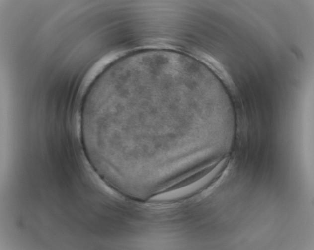 X0000113601188200910161858