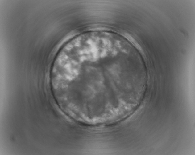 X0000113601189200910161858