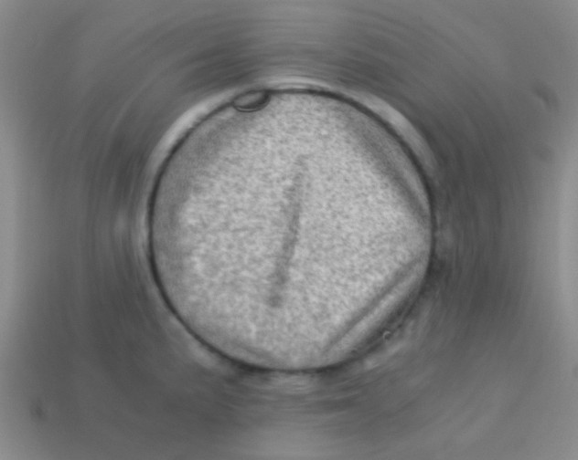 X0000113601191200910161858