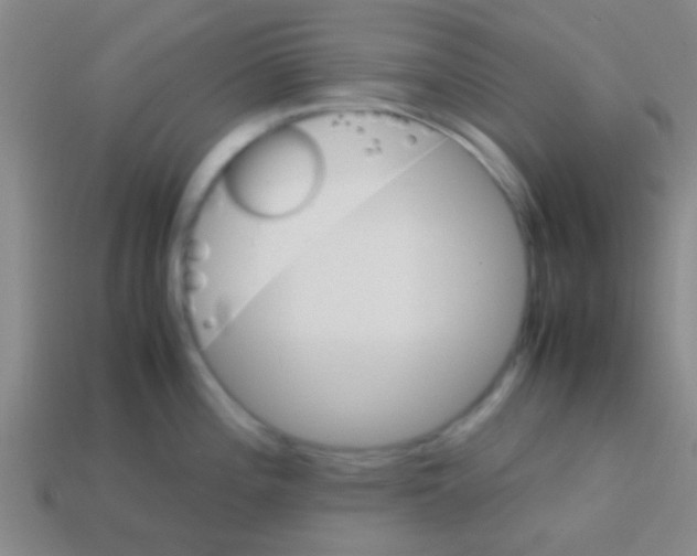 X0000113601196200910161858