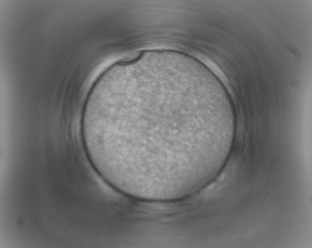 X0000113601197200910161858