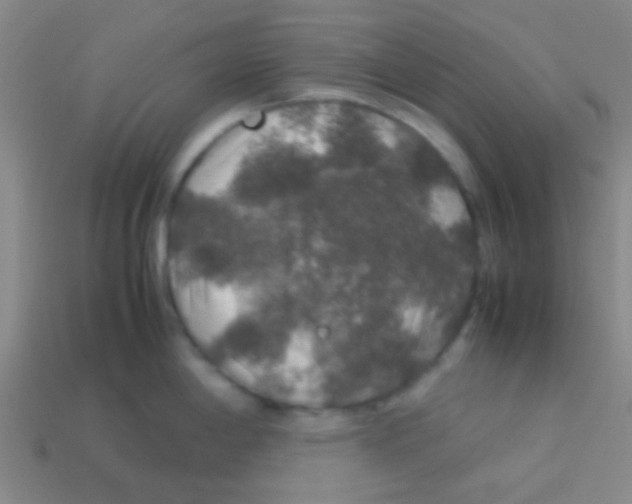 X0000113601198200910161858