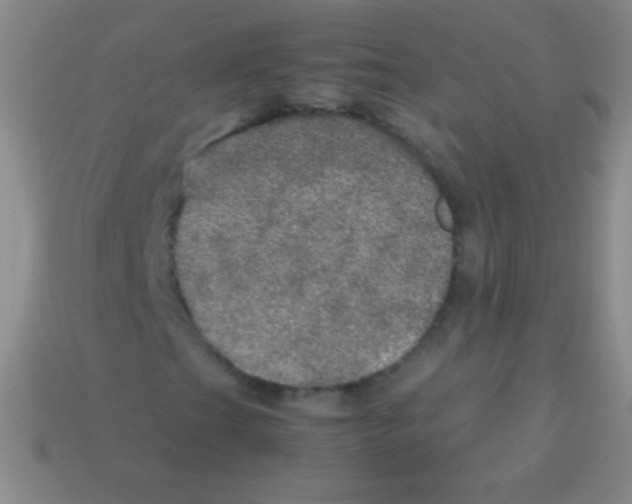 X0000113601201200910161857