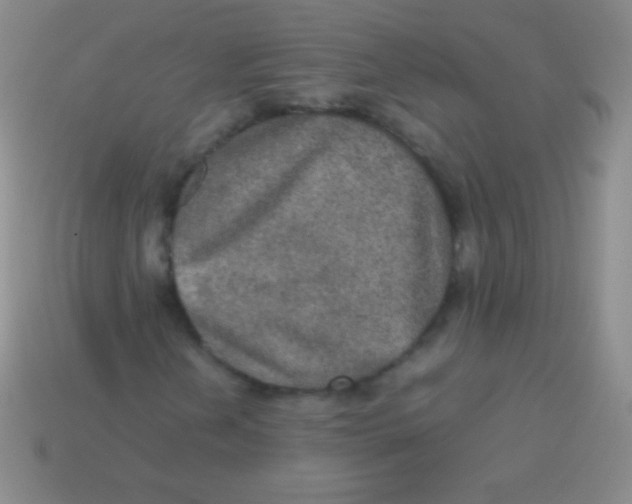 X0000113601202200910161857