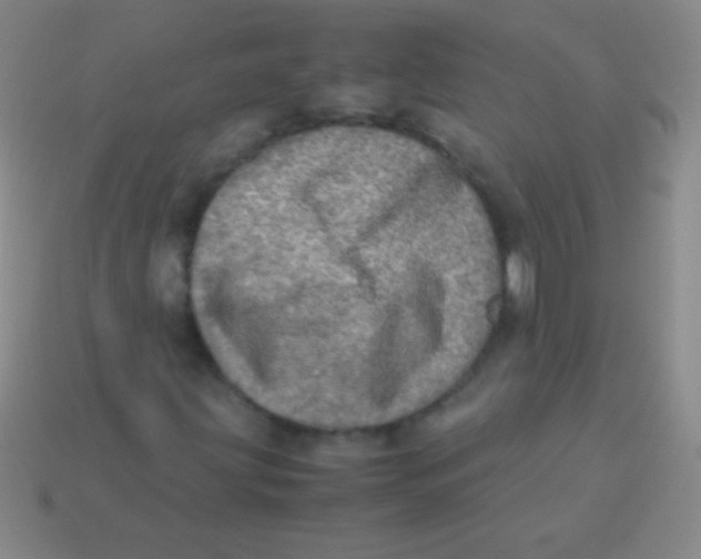 X0000113601203200910161857